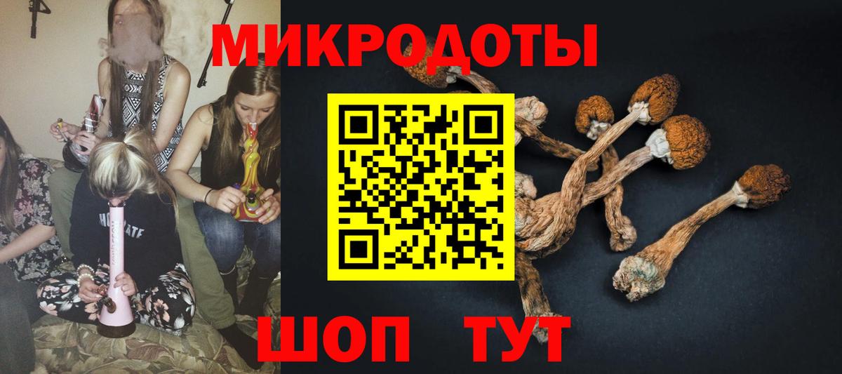 Галлюциногенные грибы Psilocybine cubensis  Вход с VPN  Каменск-Шахтинский 
