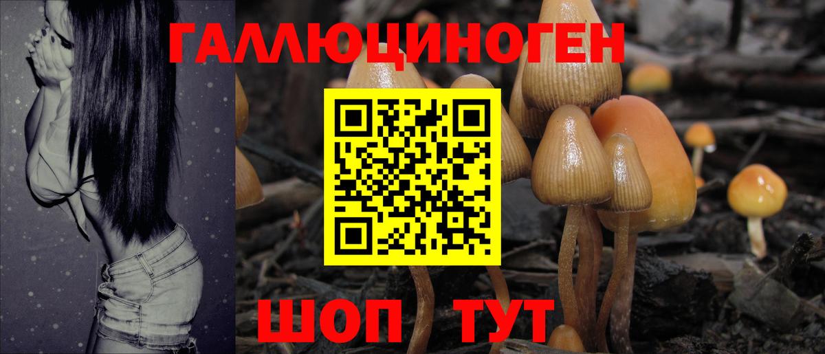 Галлюциногенные грибы MAGIC MUSHROOMS Каменск-Шахтинский
